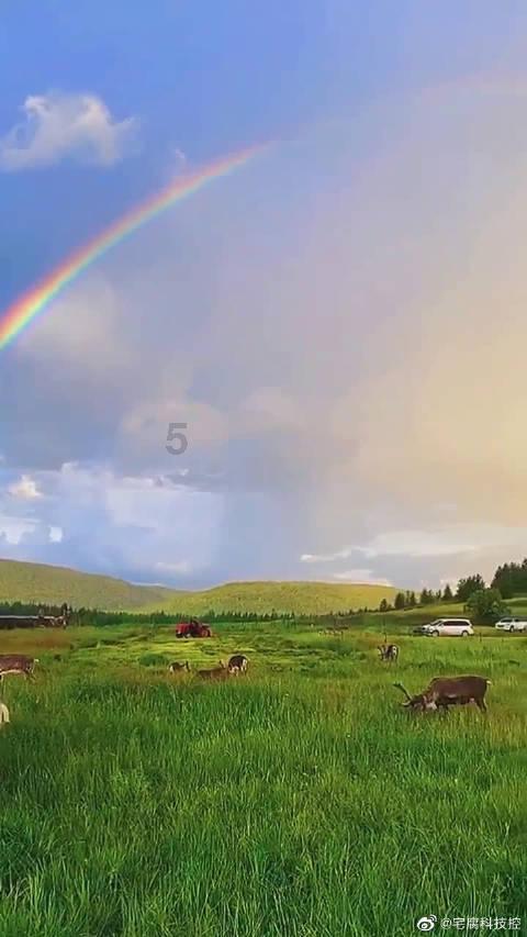 周末去哪儿 | 去延庆,滑雪、看花灯、尝美食、泡温泉