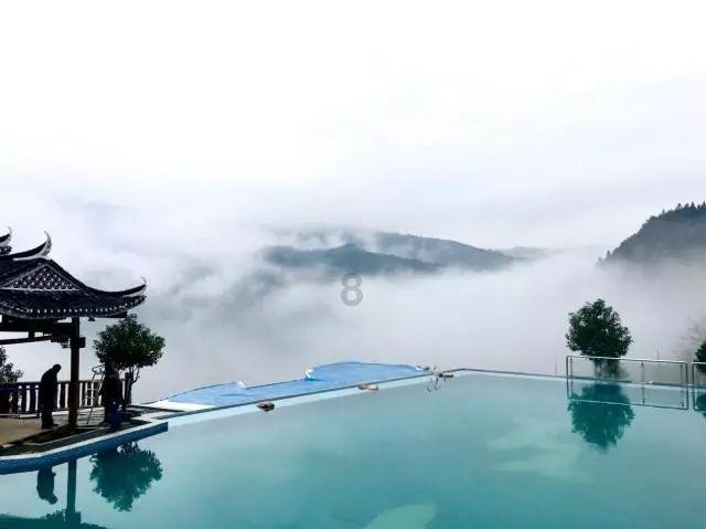 阴暗森林